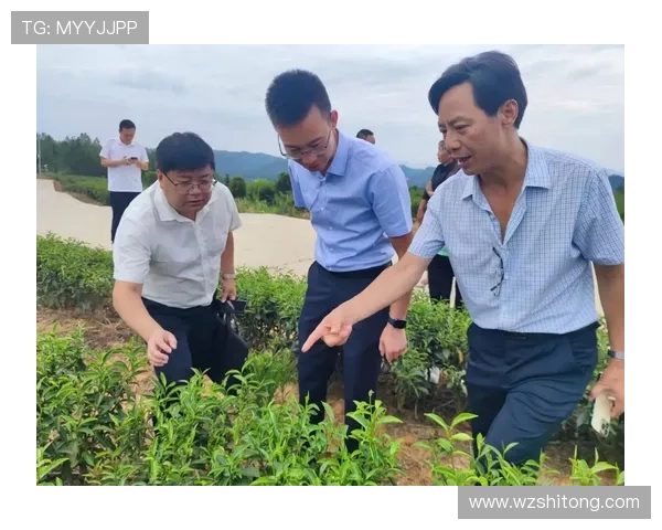 农民企业家创新驱动乡村振兴:从田间地头到商业前沿的成功之路 农民企业家创新驱动乡村振兴:从田间地头到商业前沿的成功之路